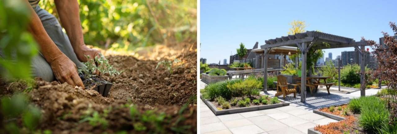 Groencentrum Witmarsum | 3 makkelijke tips voor een groenere tuin