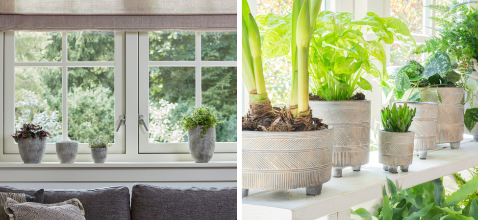 Groencentrum Witmarsum | TS Collection | Potten | Vazen