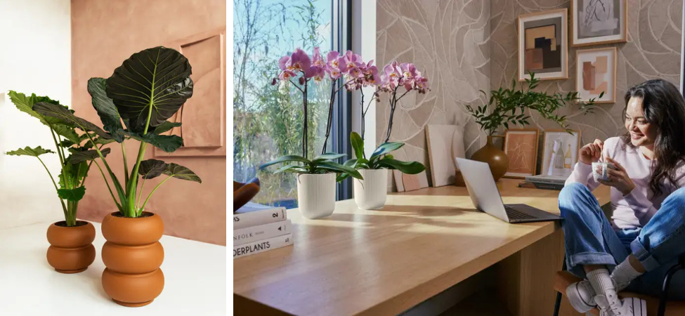 Groencentrum Witmarsum | elho