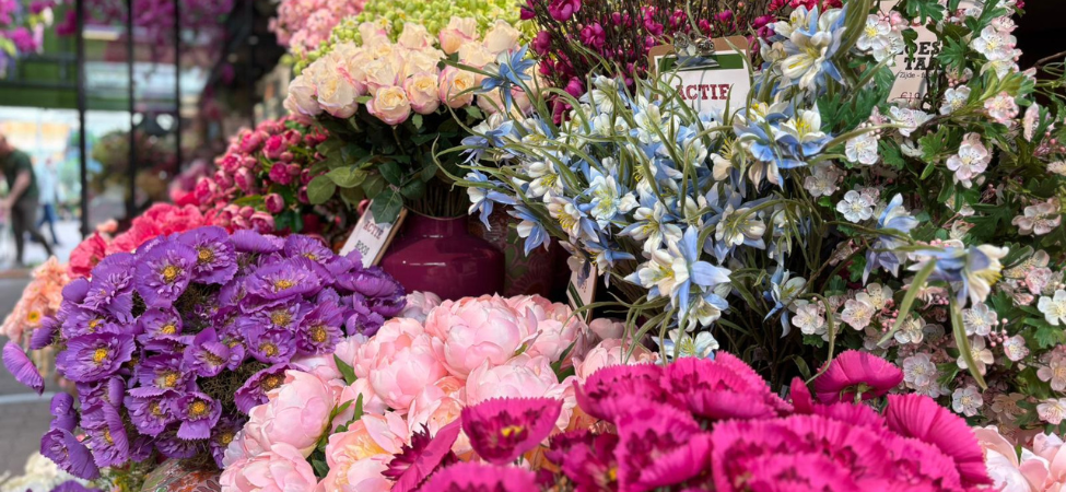 Groencentrum Witmarsum | Emerald zijdebloemen