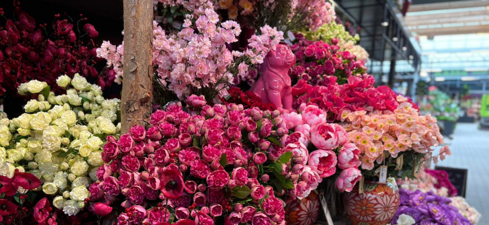 Groencentrum Witmarsum | Emerald zijdebloemen