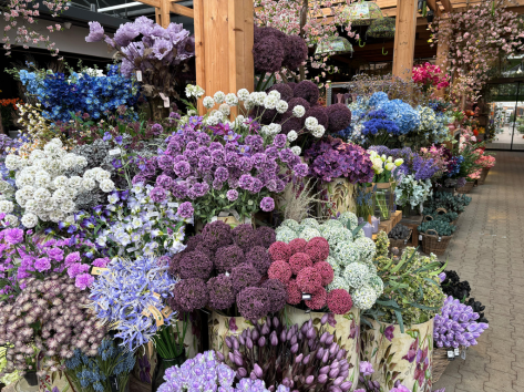 Groencentrum Witmarsum | Zijdebloemen | Silk-ka