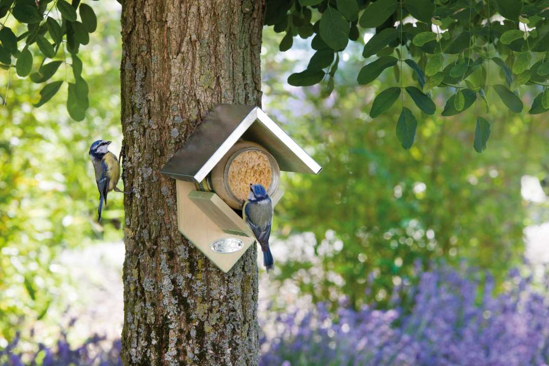 Vogelvoer bestellen bij Groencentrum Witmarsum