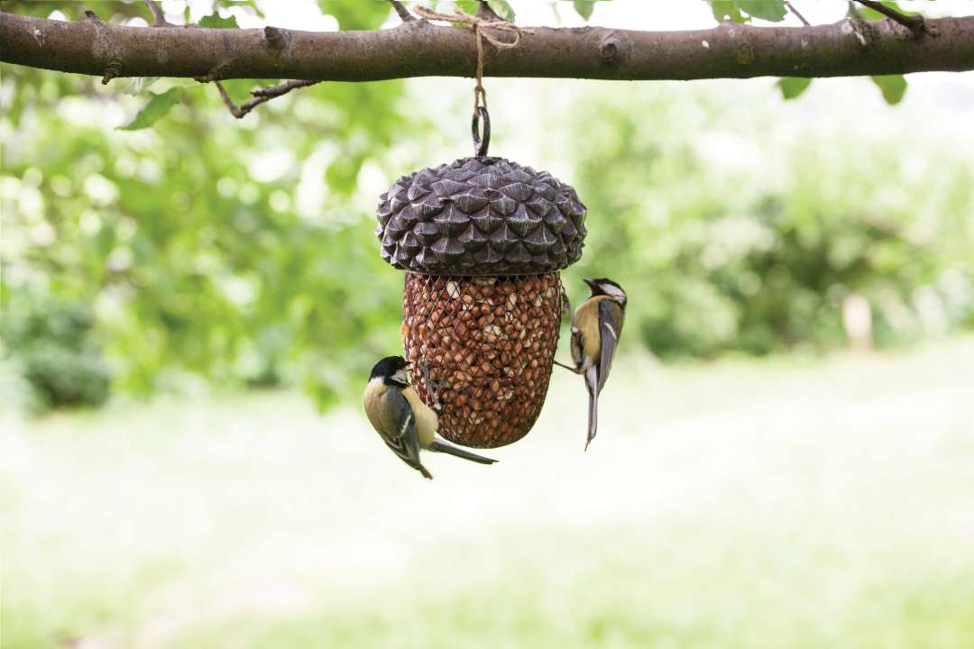 Maak een bed biografie Brandweerman Vogelvoer en Meer Voor De Vogels In De Tuin - Groencentrum Witmarsum