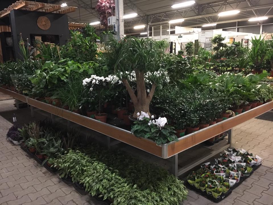 Bezoek ons tuincentrum nabij Friesland | Groencentrum Witmarsum