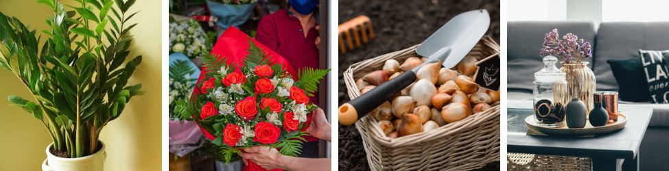 Groencentrum Witmarsum | Cadeautips Valentijnsdag