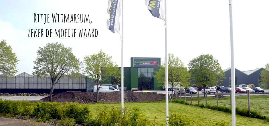 Tuincentrum Groencentrum Witmarsum in Friesland