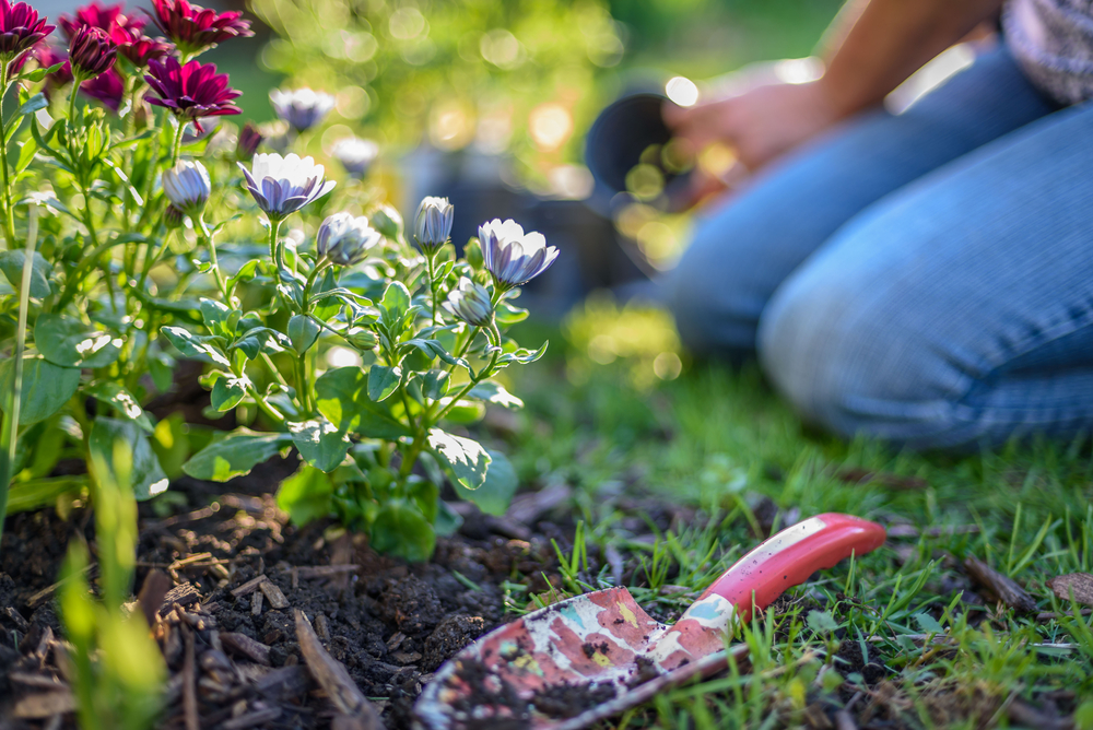 Alles over de LENTE! Alles over de LENTE!