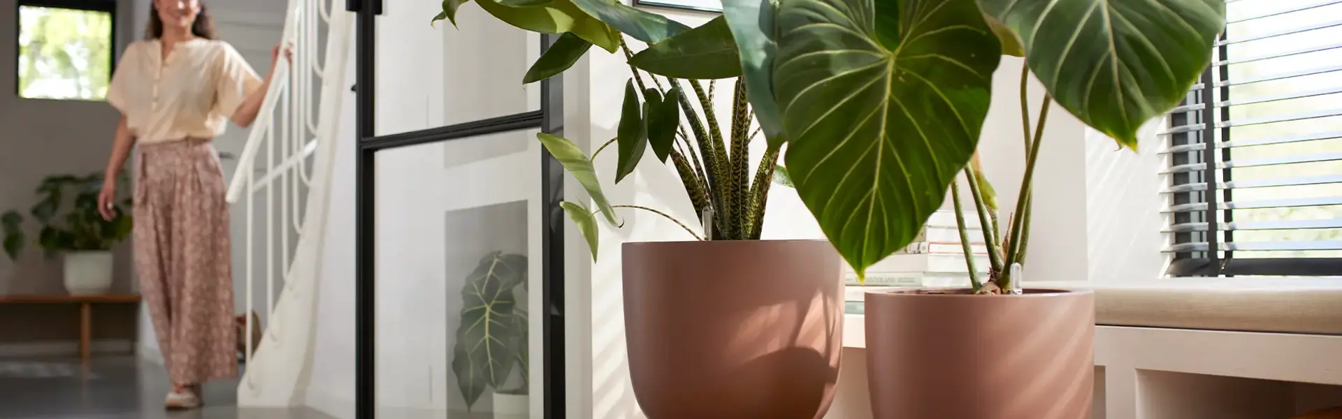 Groen maakt gelukkig!