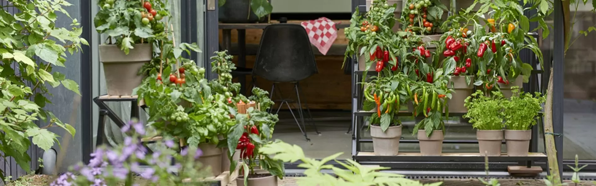 Moestuinieren