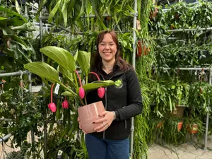 Verkoopmedewerker Kamerplanten (minimaal 24 uur)