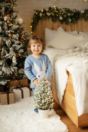 Groene trend: de kleine kerstboom