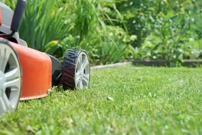 Je tuin tijdens de vakantie