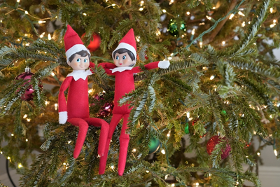 Kerstshow 2025: Elf on the Shelf, beleef de magie bij Groencentrum Witmarsum!