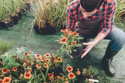 Planten van buitenplanten