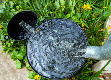 Tips hoe je regenwater slim gebruikt
