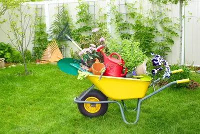 Tips voor jouw groen tijdens de mooie zomer!