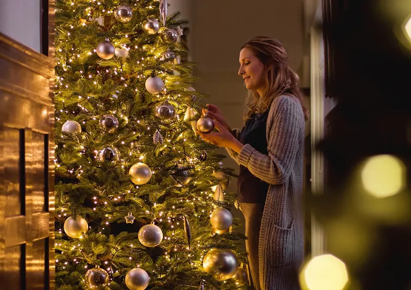 Huh Skim vliegtuigen Voor- en nadelen van kerstbomen en kunstkerstbomen