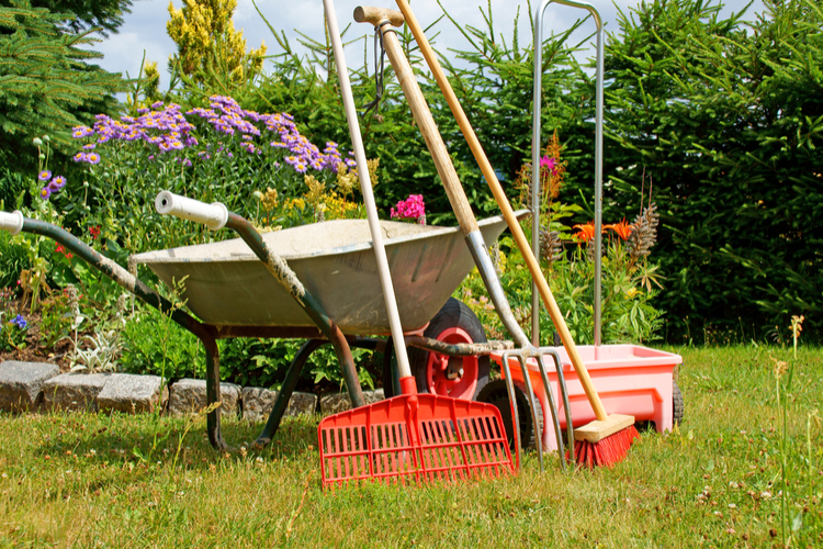 Coöperatie Gering dienen Tuingereedschap en alles voor een mooie tuin | Witmarsum - Groencentrum  Witmarsum