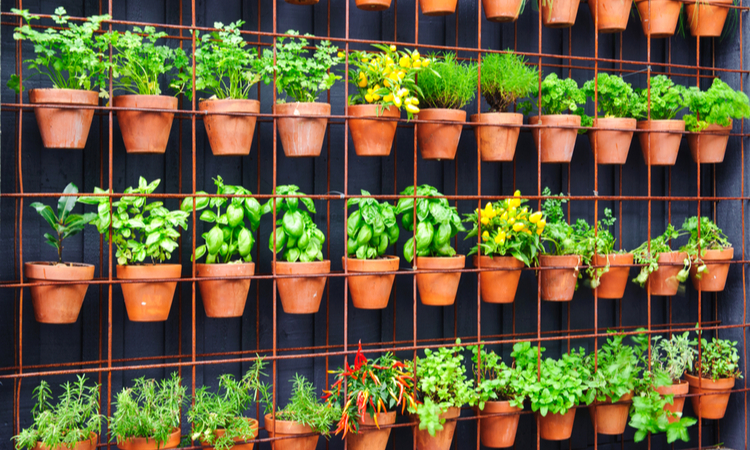 Verticaal moestuinieren