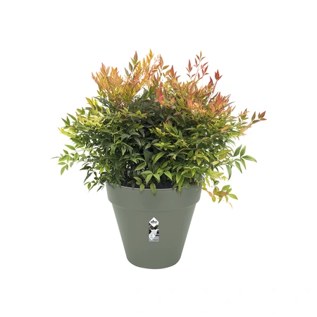 Elho loft urban rond 30 cm groen - afbeelding 2