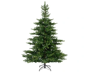 Grandis fir 270 x 172 cm