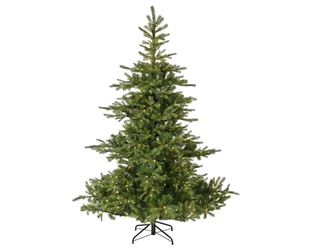 Grandis fir met verlichting 240 x 162 cm