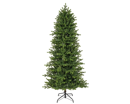 Greenland fir 300 x 127 cm