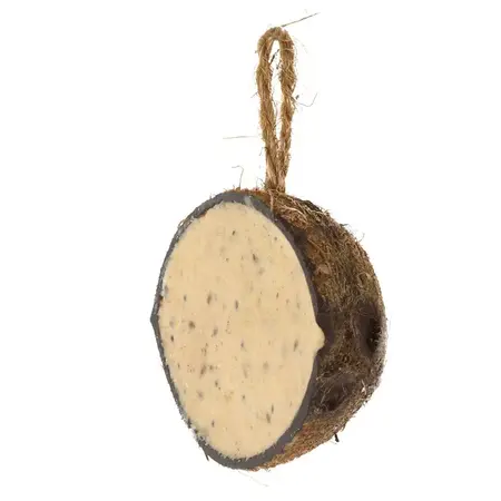Halve gevulde kokosnoot meelworm-insecten - afbeelding 2