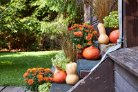 Herfst