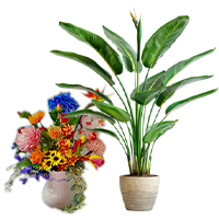 Interieurbeplanting