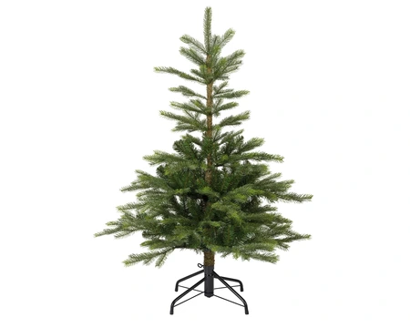 Grandis fir 120 x 91 cm