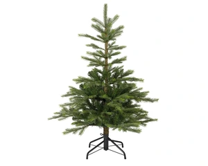 Grandis fir 120 x 91 cm