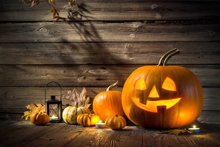 Halloween pompoen kidsworkshop