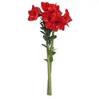 Snijbloemen