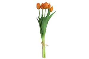 Tulpenbosje oranje