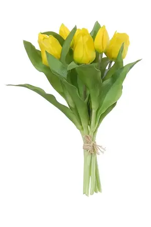 Tulpenbundel geel