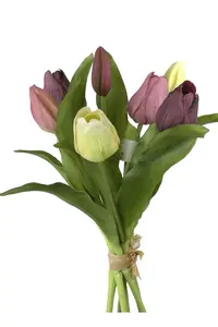 Tulpenbundel mauve mix