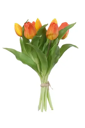 Tulpenbundel oranje