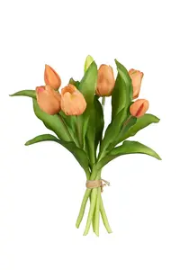 Tulpenbundel zalm