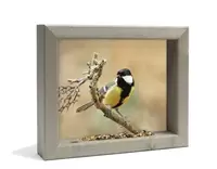 Vogelvoerderschilderijen