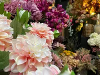 Zijdebloemen & Zijdeplanten