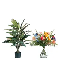 Zijdebloemen en planten